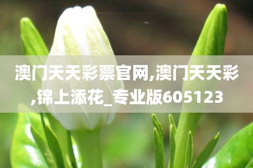 澳门天天彩票官网,澳门天天彩,锦上添花_专业版605123