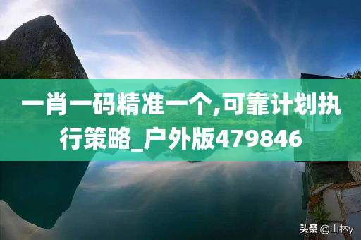 一肖一码精准一个,可靠计划执行策略_户外版479846