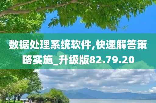 数据处理系统软件,快速解答策略实施_升级版82.79.20