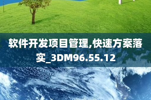 软件开发项目管理,快速方案落实_3DM96.55.12