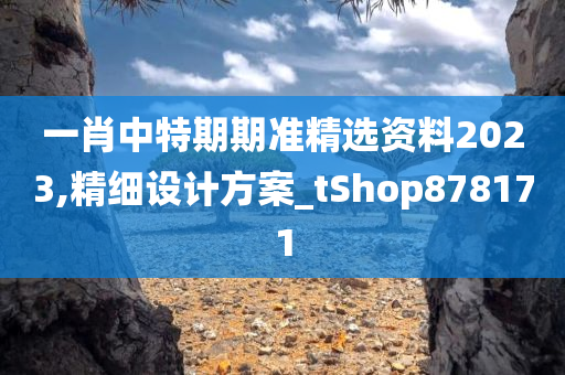 一肖中特期期准精选资料2023,精细设计方案_tShop878171