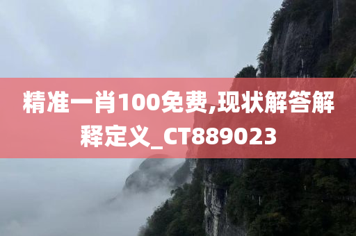 精准一肖100免费,现状解答解释定义_CT889023