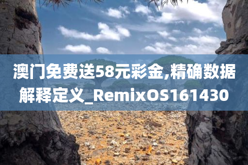 澳门免费送58元彩金,精确数据解释定义_RemixOS161430