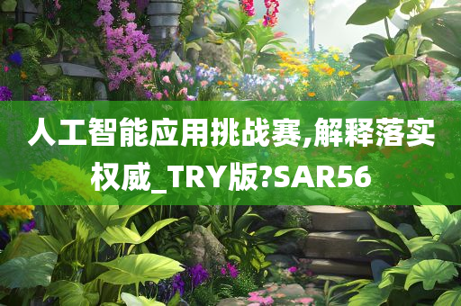 人工智能应用挑战赛,解释落实权威_TRY版?SAR56