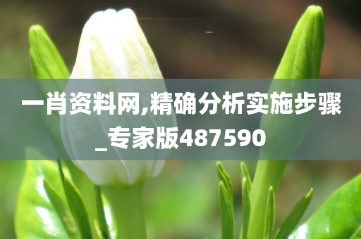 一肖资料网,精确分析实施步骤_专家版487590