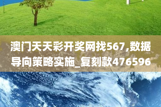 澳门天天彩开奖网找567,数据导向策略实施_复刻款476596