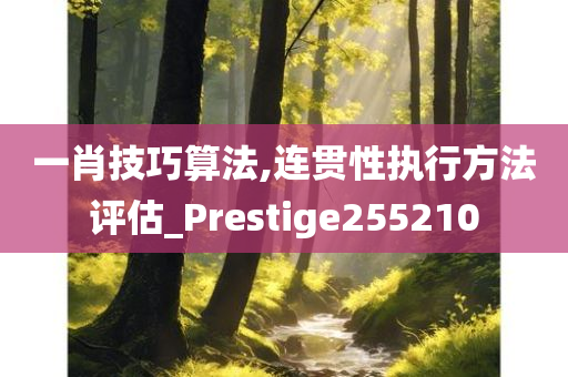 一肖技巧算法,连贯性执行方法评估_Prestige255210