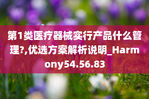 第1类医疗器械实行产品什么管理?,优选方案解析说明_Harmony54.56.83