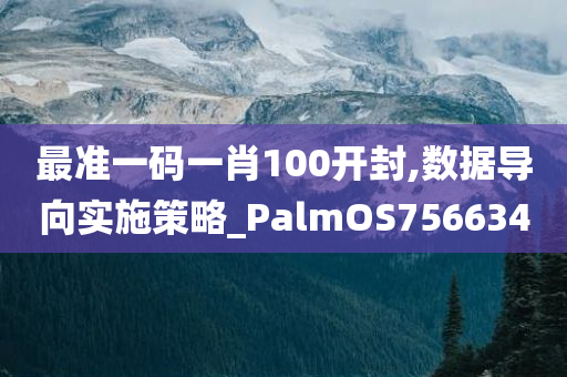 最准一码一肖100开封,数据导向实施策略_PalmOS756634