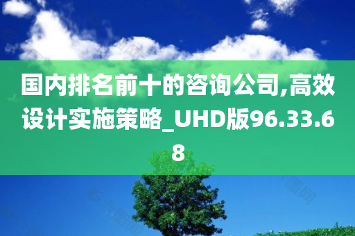 国内排名前十的咨询公司,高效设计实施策略_UHD版96.33.68