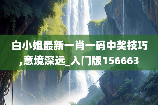 白小姐最新一肖一码中奖技巧,意境深远_入门版156663