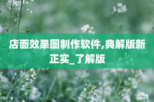 店面效果图制作软件,典解版新正实_了解版