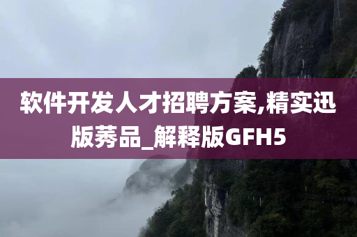 软件开发人才招聘方案,精实迅版莠品_解释版GFH5