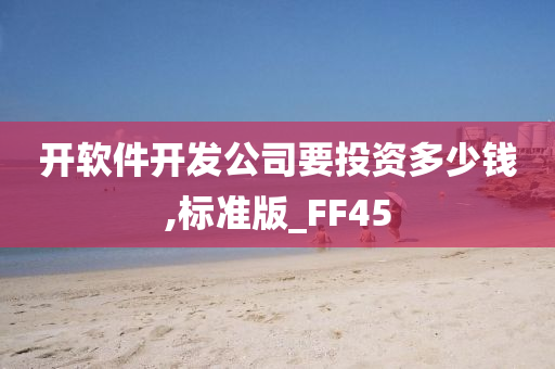 开软件开发公司要投资多少钱,标准版_FF45