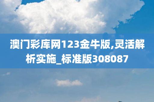 澳门彩库网123金牛版,灵活解析实施_标准版308087