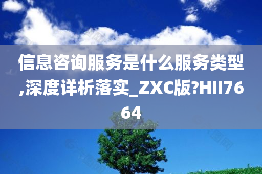 信息咨询服务是什么服务类型,深度详析落实_ZXC版?HII7664