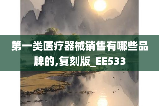 第一类医疗器械销售有哪些品牌的,复刻版_EE533