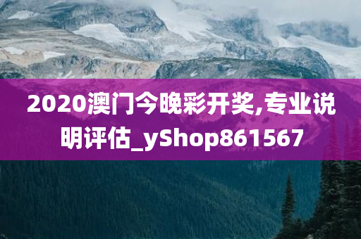 2020澳门今晚彩开奖,专业说明评估_yShop861567