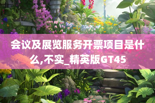 会议及展览服务开票项目是什么,不实_精英版GT45