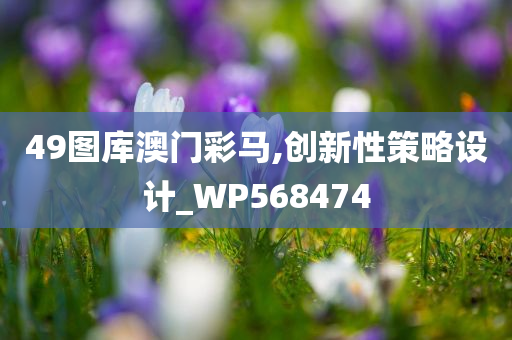 49图库澳门彩马,创新性策略设计_WP568474