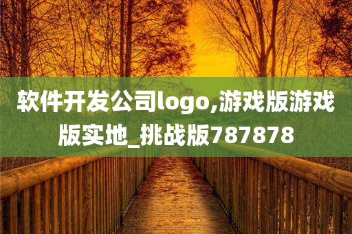 软件开发公司logo,游戏版游戏版实地_挑战版787878