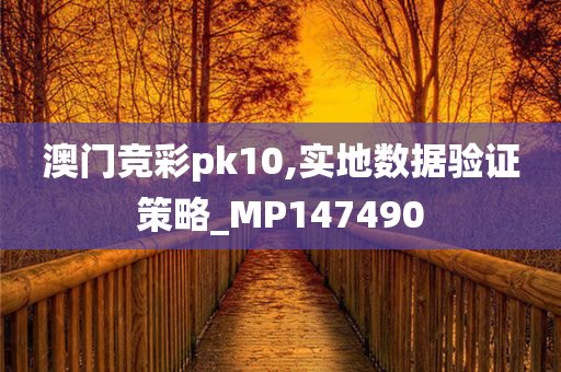 澳门竞彩pk10,实地数据验证策略_MP147490