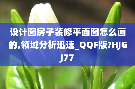 设计图房子装修平面图怎么画的,领域分析迅速_QQF版?HJGJ77