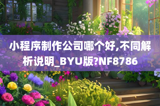 小程序制作公司哪个好,不同解析说明_BYU版?NF8786