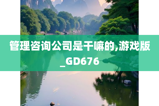 管理咨询公司是干嘛的,游戏版_GD676