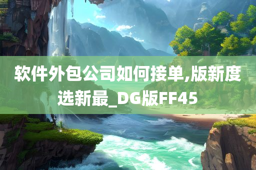 软件外包公司如何接单,版新度选新最_DG版FF45