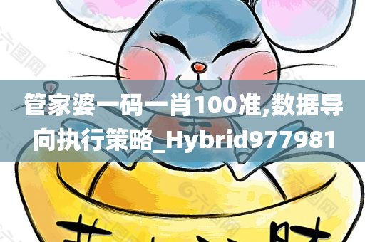 管家婆一码一肖100准,数据导向执行策略_Hybrid977981