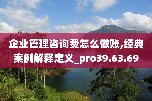 企业管理咨询费怎么做账,经典案例解释定义_pro39.63.69