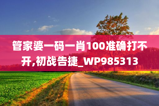 管家婆一码一肖100准确打不开,初战告捷_WP985313