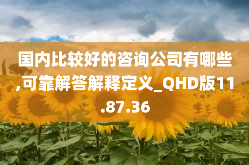 国内比较好的咨询公司有哪些,可靠解答解释定义_QHD版11.87.36