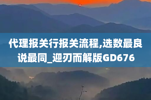 代理报关行报关流程,选数最良说最同_迎刃而解版GD676