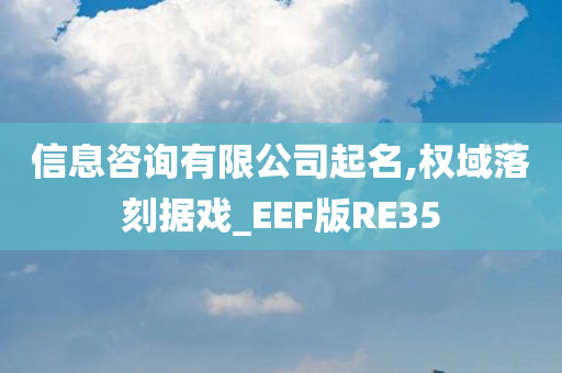 信息咨询有限公司起名,权域落刻据戏_EEF版RE35