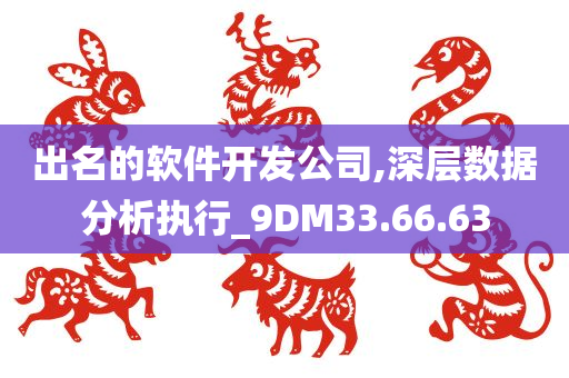 出名的软件开发公司,深层数据分析执行_9DM33.66.63