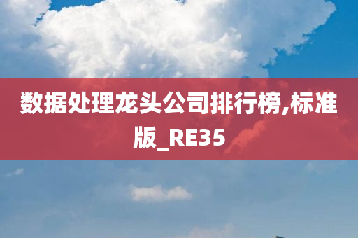 数据处理龙头公司排行榜,标准版_RE35