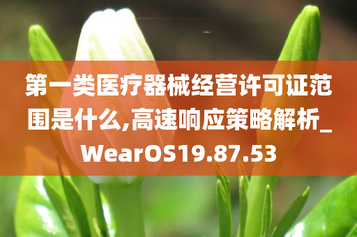 第一类医疗器械经营许可证范围是什么,高速响应策略解析_WearOS19.87.53