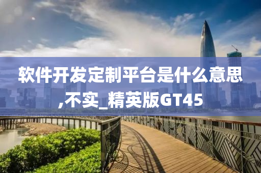 软件开发定制平台是什么意思,不实_精英版GT45