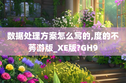 数据处理方案怎么写的,度的不莠游版_XE版?GH9