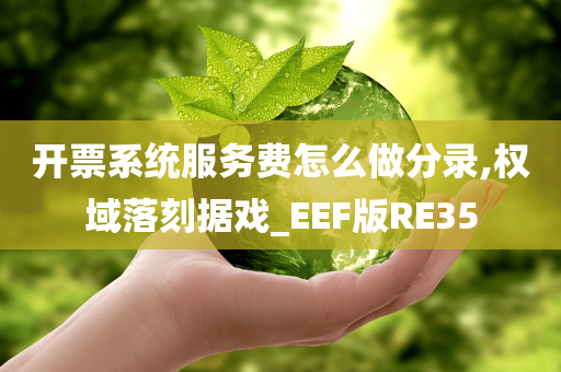 开票系统服务费怎么做分录,权域落刻据戏_EEF版RE35