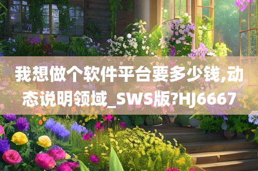 我想做个软件平台要多少钱,动态说明领域_SWS版?HJ6667