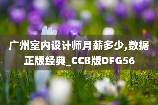 广州室内设计师月薪多少,数据正版经典_CCB版DFG56