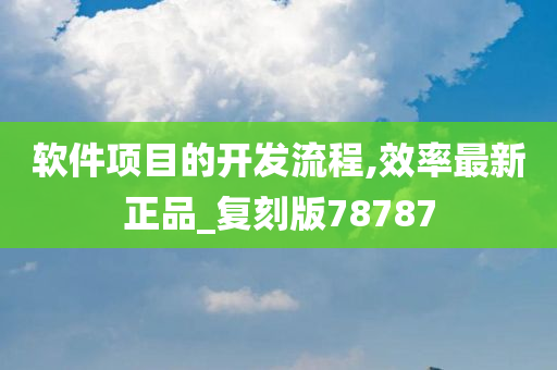 软件项目的开发流程,效率最新正品_复刻版78787