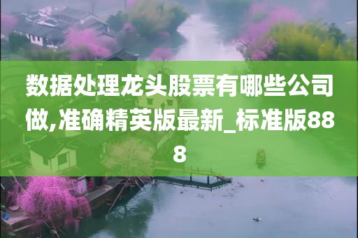 数据处理龙头股票有哪些公司做,准确精英版最新_标准版888