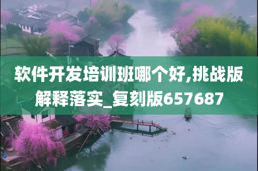 软件开发培训班哪个好,挑战版解释落实_复刻版657687