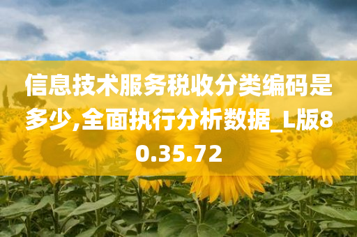 信息技术服务税收分类编码是多少,全面执行分析数据_L版80.35.72