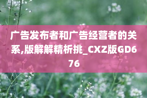 广告发布者和广告经营者的关系,版解解精析挑_CXZ版GD676