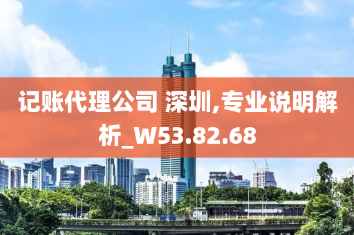 记账代理公司 深圳,专业说明解析_W53.82.68